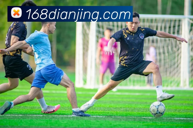 168电竞平台平台生态图